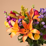 110120_closeup.jpg