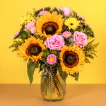 SRNFL111526N.png