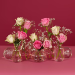 Serenata Mothers Day-4.jpg