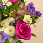 110606_closeup.jpg