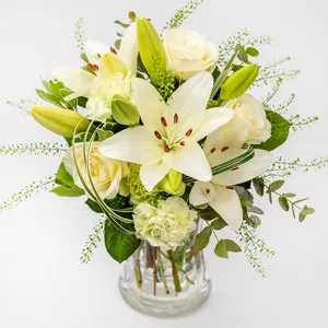 Enchanting White