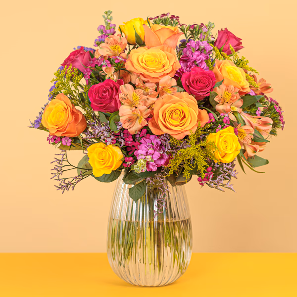 Serenata 3 Sizes 04-3.jpg