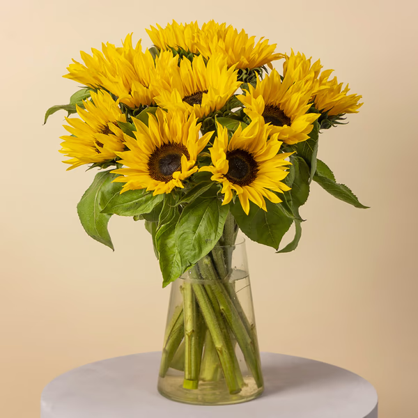 Sunshine Delight