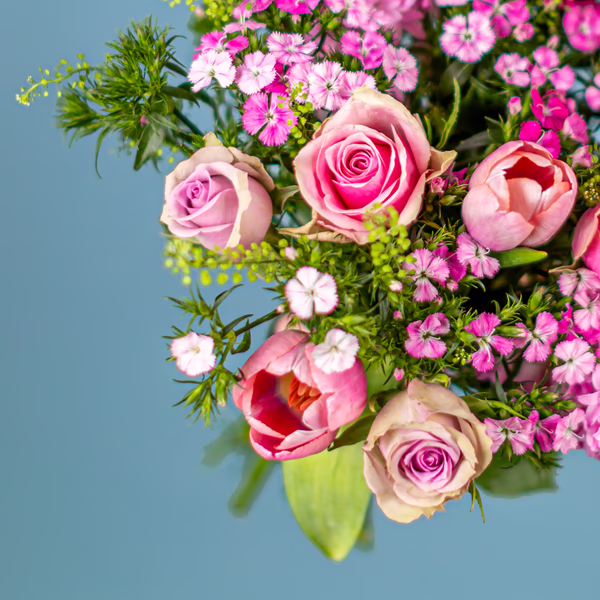 Serenata Spring 2026 - PROD05-6.png