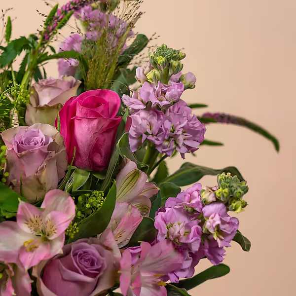 110788_closeup.webp