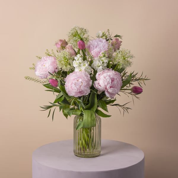 Allium Princess