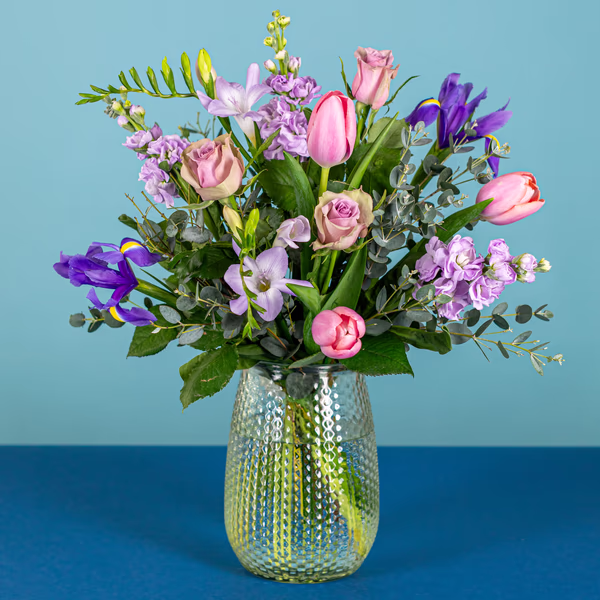 Serenata Spring 2026 - PROD01-1.png