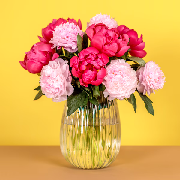 Pink Peonies