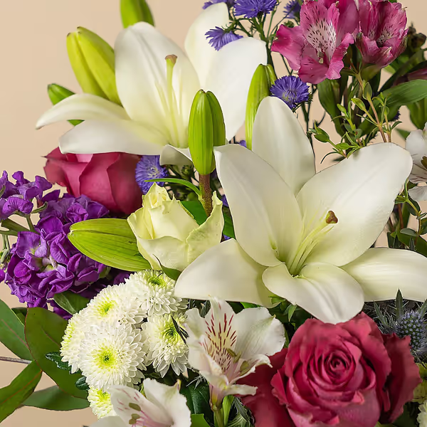 110792_closeup.webp