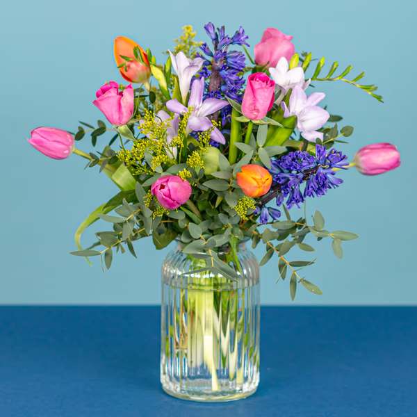 Serenata Spring 2026 - PROD06-14.png