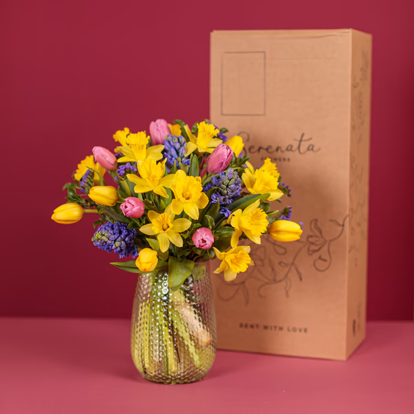 Serenata Mothers Day-24.jpg