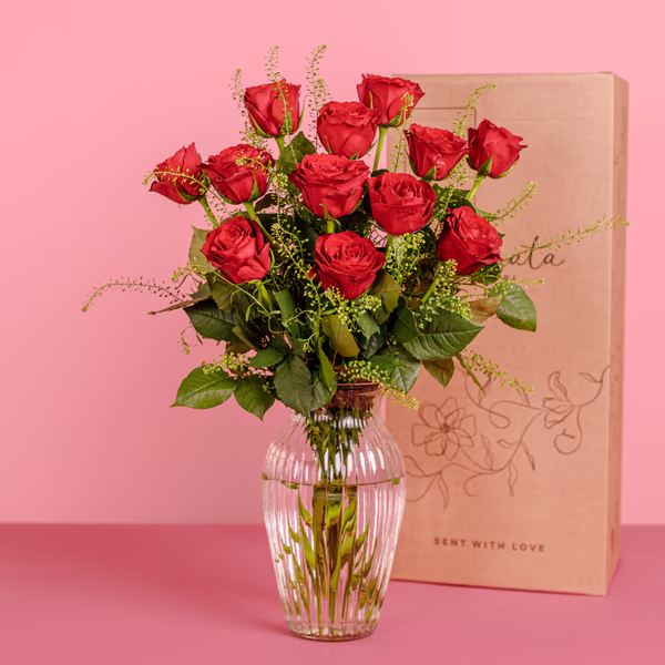 Serenata Valentines 2026-02.jpg