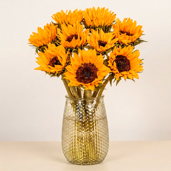 Sunshine Delight
