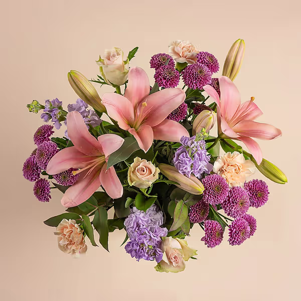110673_overview.webp