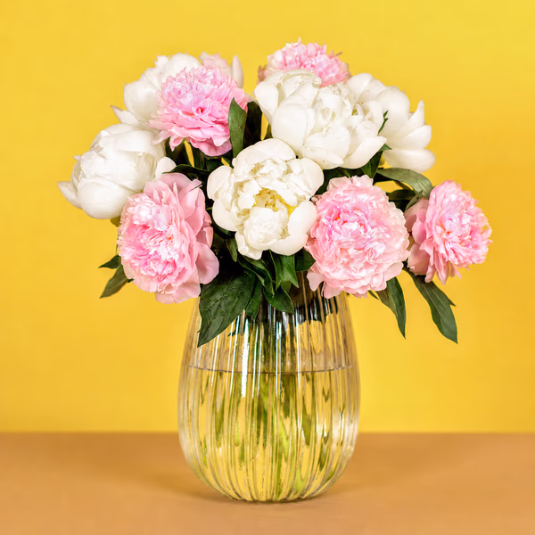 Mixed Peonies