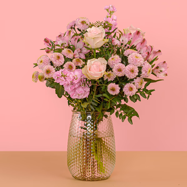 Serenata 3 Sizes 02-1.jpg