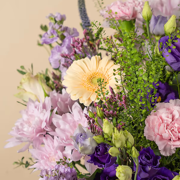 111520_closeup.webp