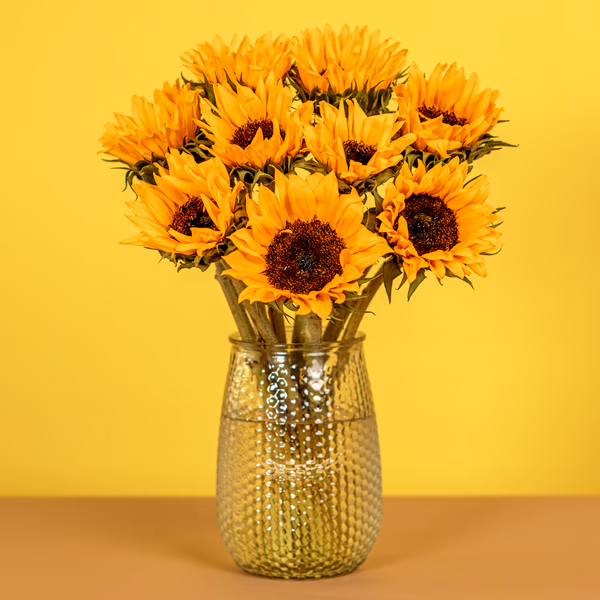 Sunshine Delight