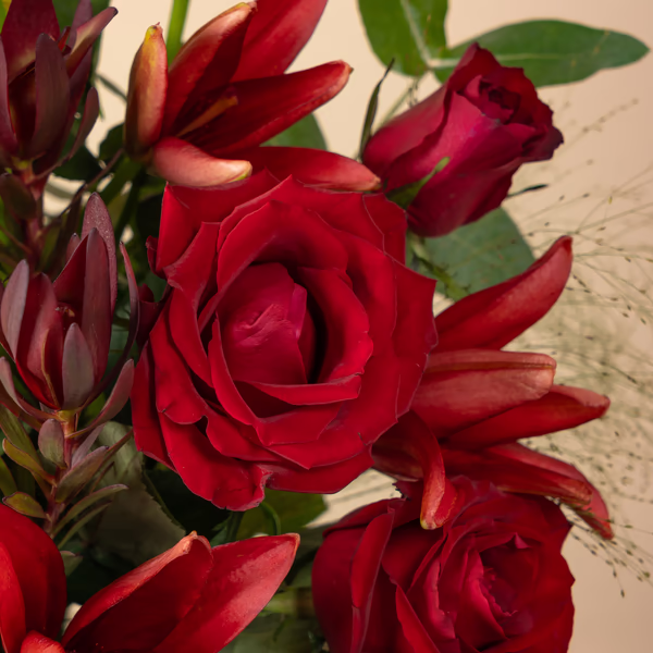 DSC00044.jpg