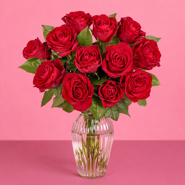 12 Red Roses