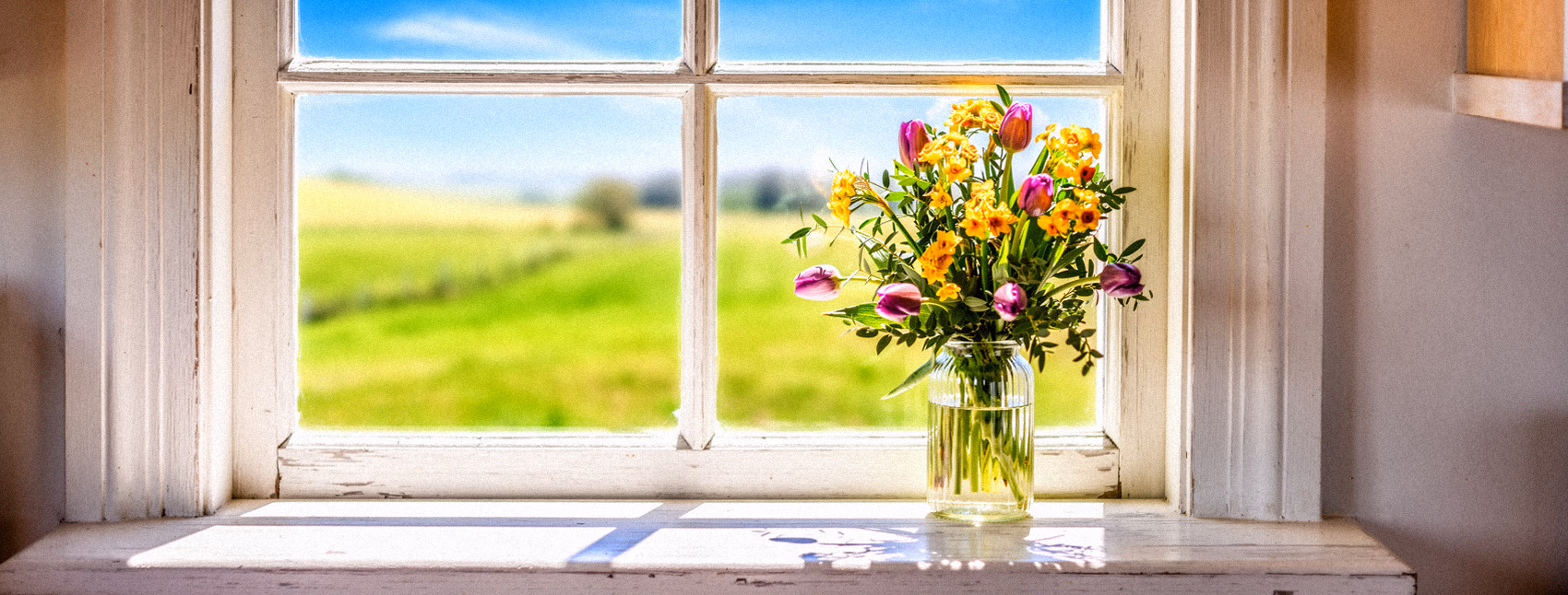 Spring flowers on a windowsill