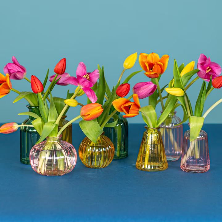 Serenata Flowers spring 2026 floral arrangement