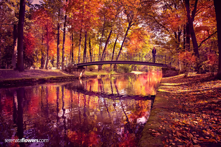 autumn poems