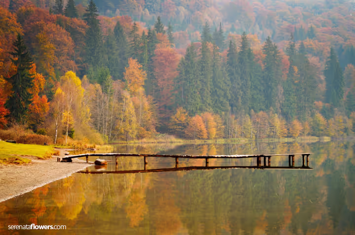 Autumn Poems